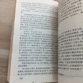 白痴
