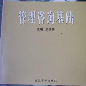 管理咨询基础/高等学校信息管理类专业核心课教材