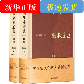 中国巫术通史(全2册)