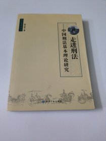 走进刑法：中国刑法基本理论研究