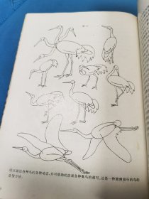 工笔禽鸟画法