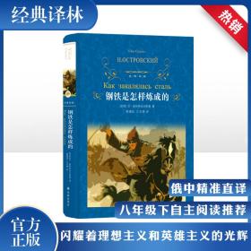 钢铁是怎样炼成的 外国文学名著读物 (苏)尼·奥斯特洛夫斯基 新华正版
