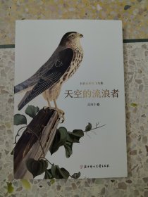 长白山野生飞鸟集 天空的流浪者（有划线注意）