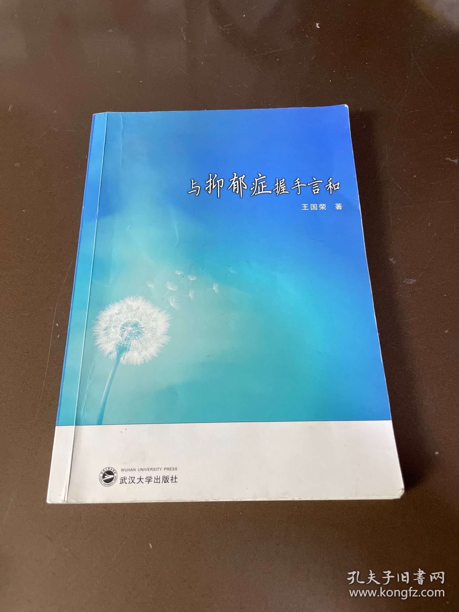 与抑郁症握手言和