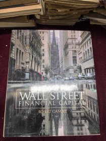 华尔街金融资本 十六开铜版纸 1999外文 258页
