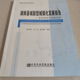 湖南文化发展报告