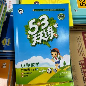 2023春季 53天天练 小学数学 六年级下 RJ（人教版）