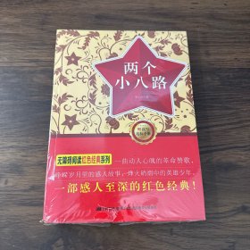 无障碍阅读丛书：红色经典特辑-两个小八路