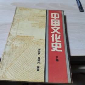 中国文化史