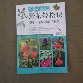 公园路边野菜轻松识：一眼认出食用野菜