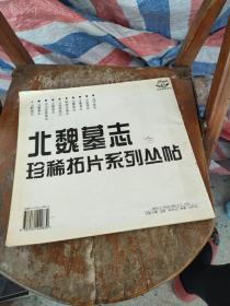 北魏墓志珍稀拓片系列丛帖.第一册：元賥墓志