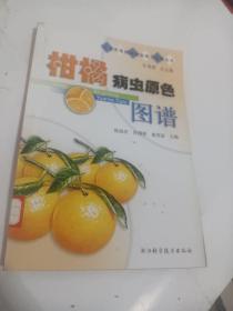 柑橘病虫原色图谱