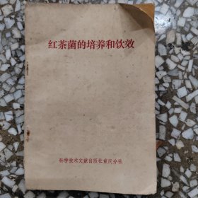 红茶菌的培养和饮效