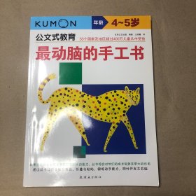 （里面全新）最动脑的手工书：4、5岁