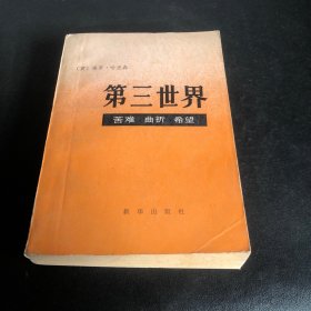 第三世界苦难·曲折·希望