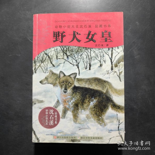 野犬女皇：动物小说大王沈石溪.品藏书系