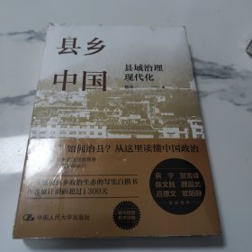 县乡中国：县域治理现代化