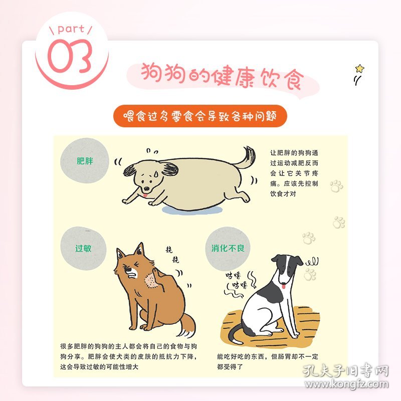 狗狗长寿的50个秘诀