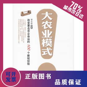 大農(nóng)業(yè)模式 9787109185074