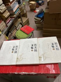 苏天赐文集【全三卷】