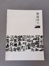 无边净土·杨昌刚书法作品