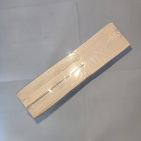 王小波作品集 青铜时代