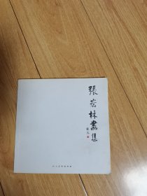 张宏林画集（签名本）