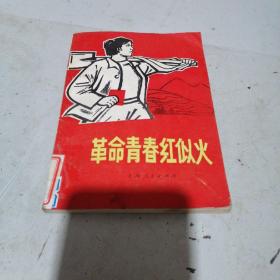 革命青春似火