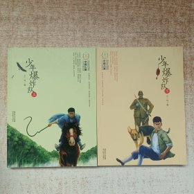 中国儿童文学经典100部：少年爆炸队 上下