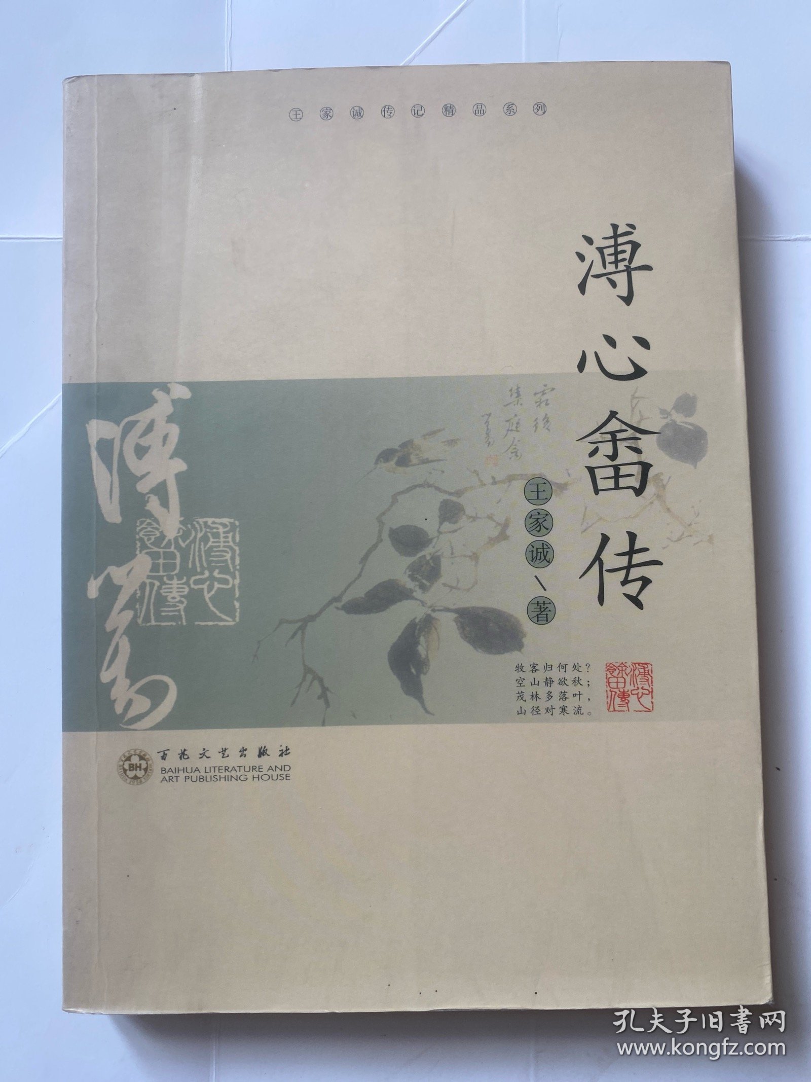 溥心畲传（王家诚传记精品系列）