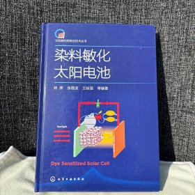 太阳能利用前沿技术丛书--染料敏化太阳电池