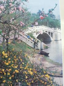 南京玄武湖 80年代挂画