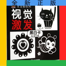 视觉激发(黑白卡0-12个月)/宝宝看世界
