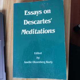 Essays on Descartes' Meditations