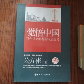 觉悟中国：当今社会问题的深层思考