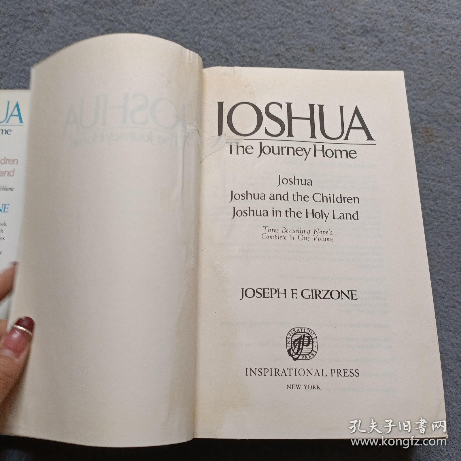 JOSHUA THE JOURNEY HOME 书有水印 品相如图 避免争议