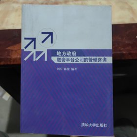 地方政府融资平台公司的管理咨询