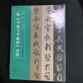 名家临名帖系列 王铎、八大山人临兴福寺半截碑对照