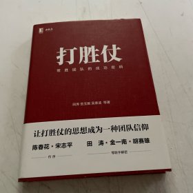 打胜仗:常胜团队的成功密码