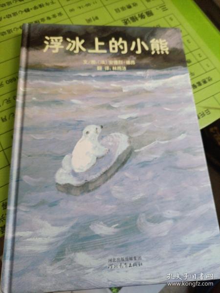 浮冰上的小熊