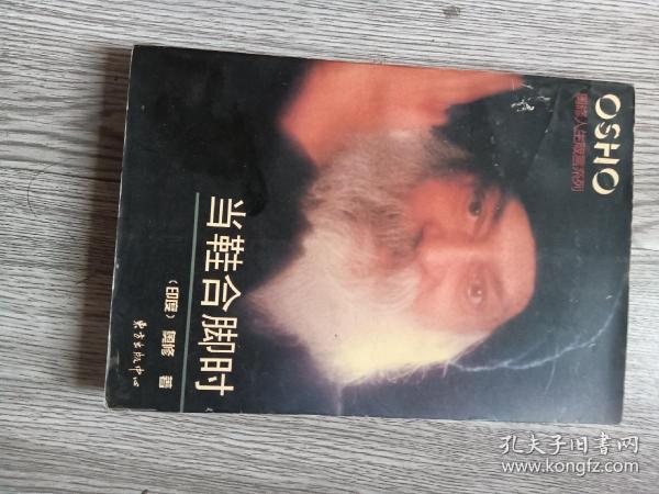 当鞋合脚时：奥修人生箴言系列