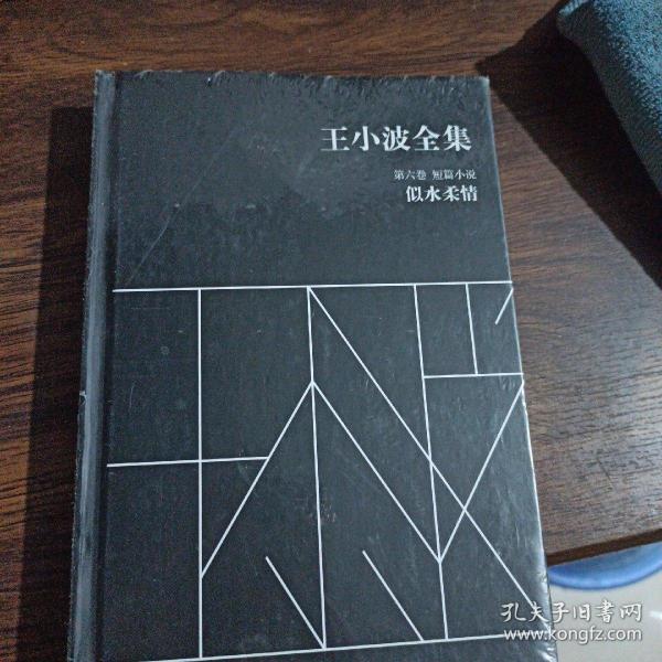 王小波全集（第六卷 短篇小说）：似水柔情