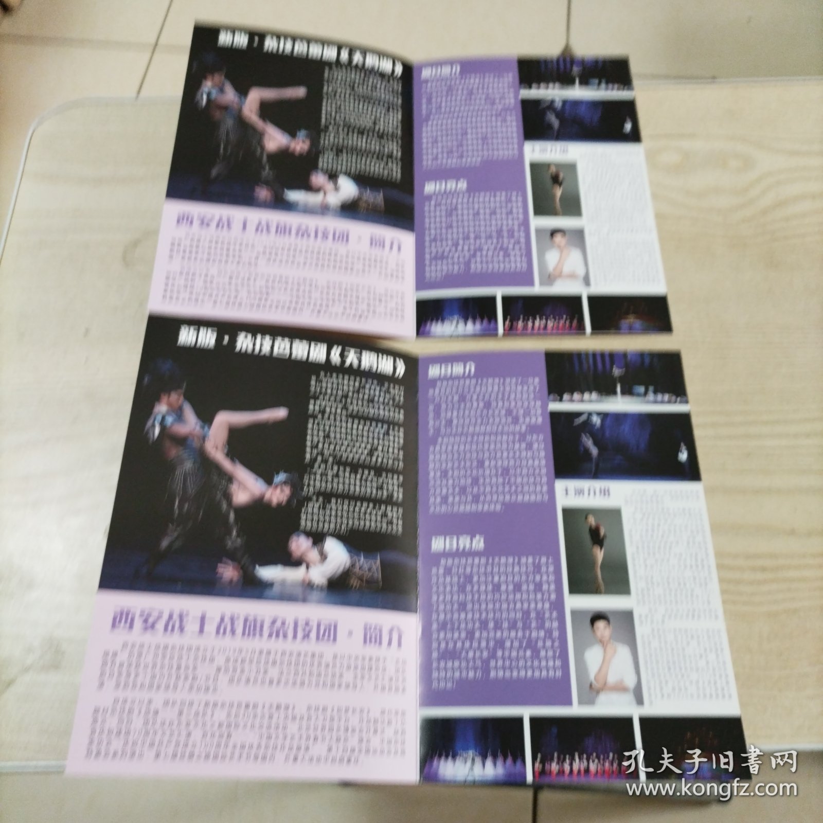 新版天鹅湖杂技芭蕾剧节目单2张（西安演艺集团战士战旗杂技团）