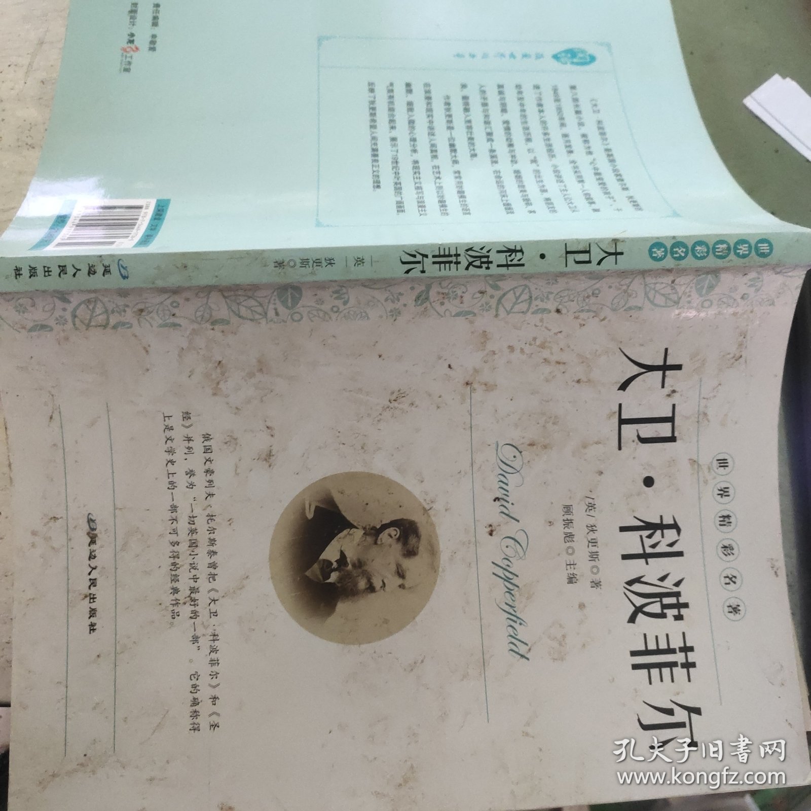 点击查看原图 大卫·科波菲尔