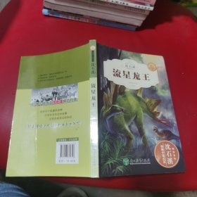 流星龙王（全新升级珍藏版）/动物小说大王沈石溪精读系列
