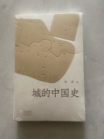城的中国史（许宏新作品 考古大家写小书）