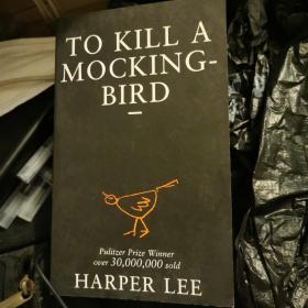 To Kill a Mockingbird  杀死一只知更鸟