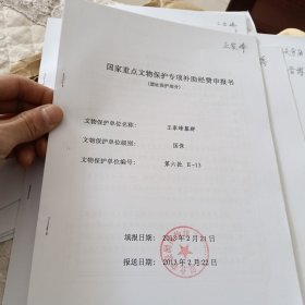 国家重点文物保护专项补助经费申报书（遗址保护部分王家峰墓群