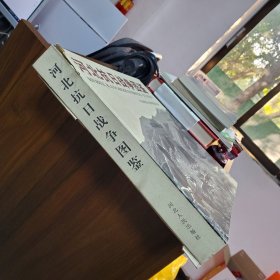 河北抗日战争图鉴（精）