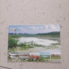 秦湖湿地80分邮资明信片